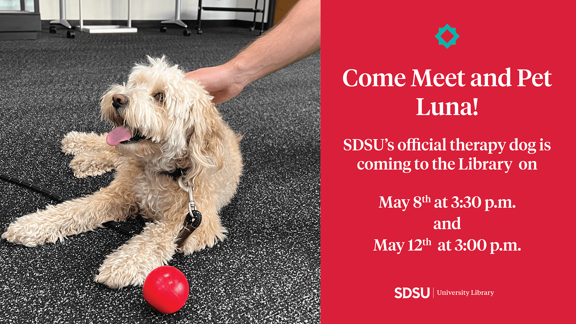 Come meet and pet Luna