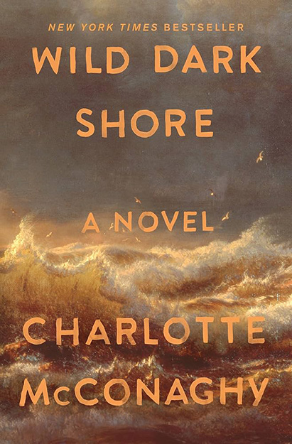 Cover of Wild Dark Shore