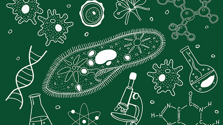 Drawings of amoebas, test tubes, microscope, DNA helix