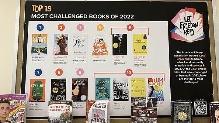 Top 13 Most Challenged Books