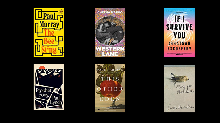 Booker Prize short list titles