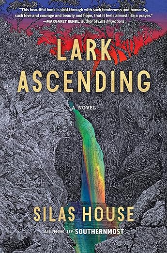 Book cover of Lark Ascending by Silas House