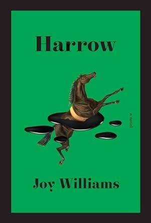 Book cover of Harrow by Joy Williams