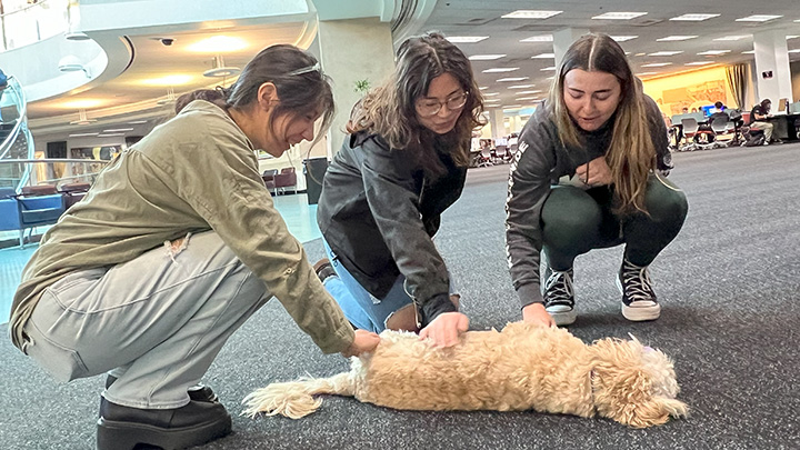 Students with Luna, the SDSU therapy dog