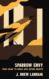Sparrow Envy