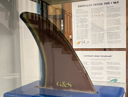 Surfboard fin from the Science of Surfing exhibit