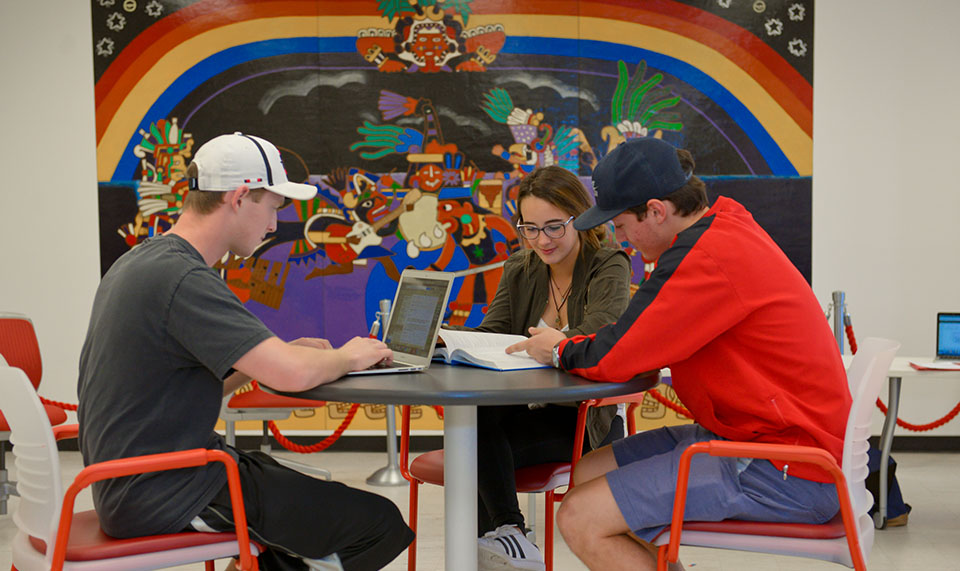 three students studying together