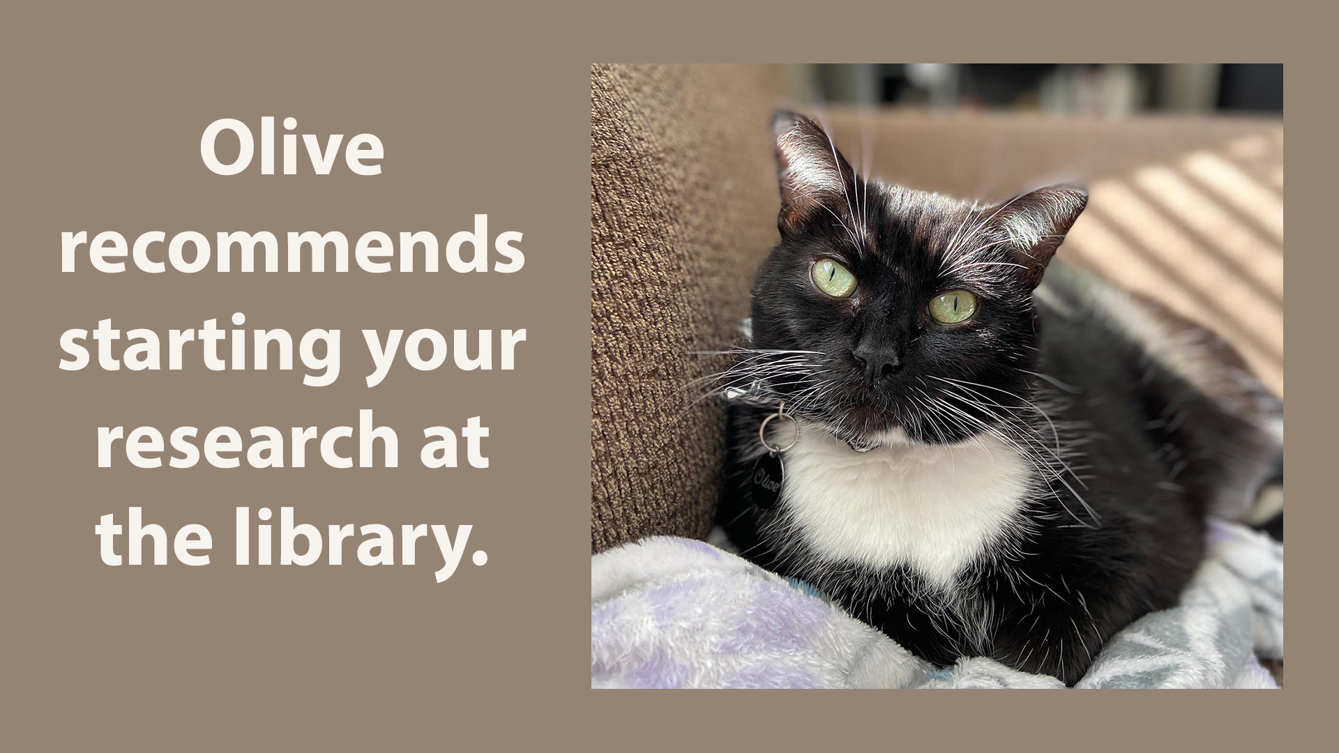 start your research at the library